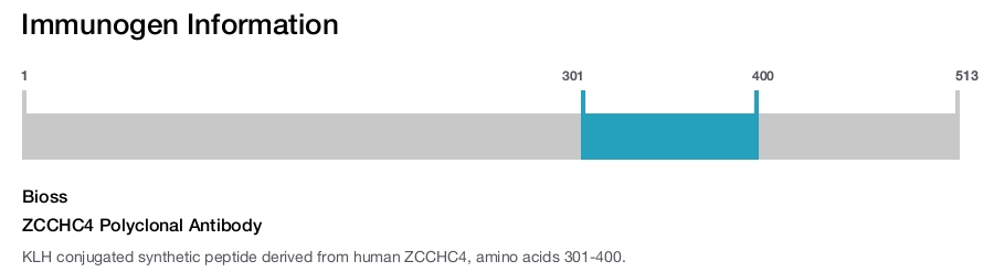 ZCCHC4 Polyclonal Antibody