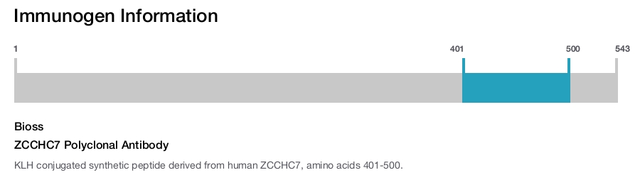 ZCCHC7 Polyclonal Antibody