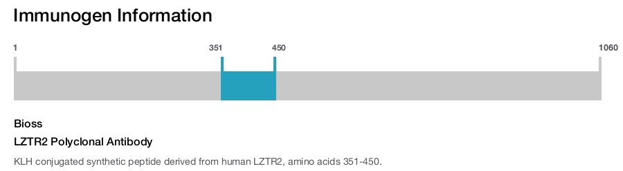 LZTR2 Polyclonal Antibody