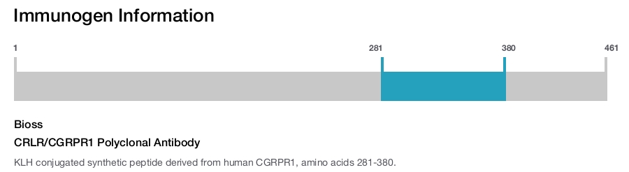 CRLR/CGRPR1 Polyclonal Antibody