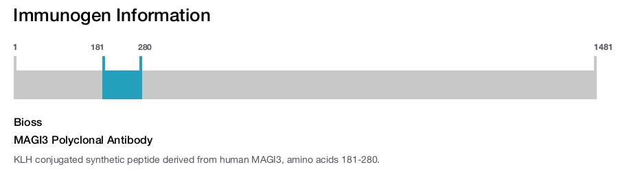 MAGI3 Polyclonal Antibody