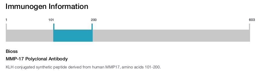 MMP-17 Polyclonal Antibody