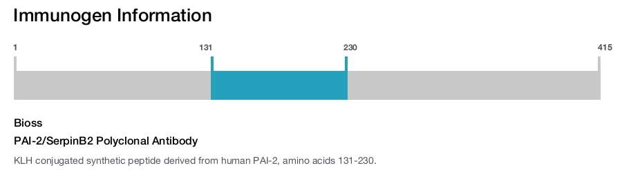 PAI-2/SerpinB2 Polyclonal Antibody
