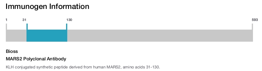 MARS2 Polyclonal Antibody