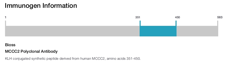 MCCC2 Polyclonal Antibody