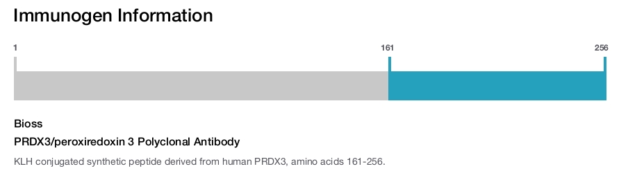 PRDX3/peroxiredoxin 3 Polyclonal Antibody
