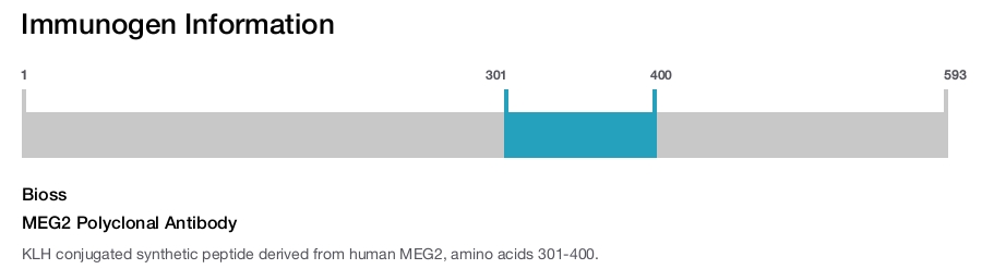MEG2 Polyclonal Antibody