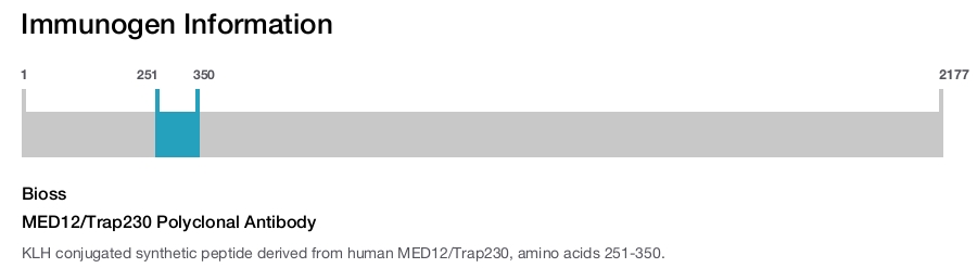 MED12/Trap230 Polyclonal Antibody