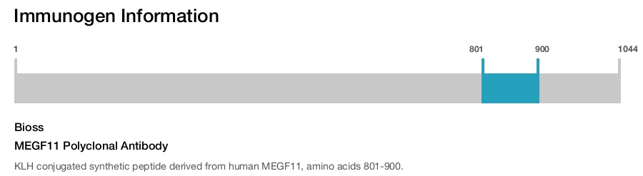 MEGF11 Polyclonal Antibody