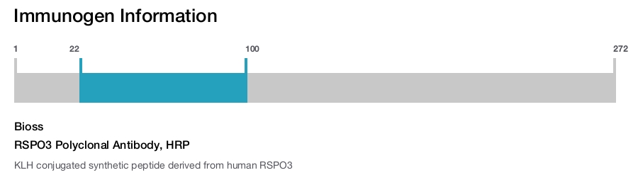 RSPO3 Polyclonal Antibody, HRP