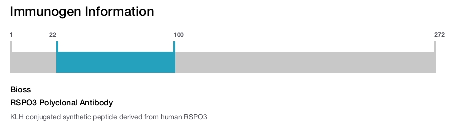 RSPO3 Polyclonal Antibody