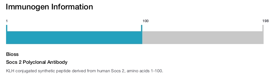 Socs 2 Polyclonal Antibody