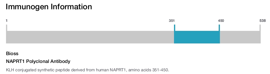NAPRT1 Polyclonal Antibody