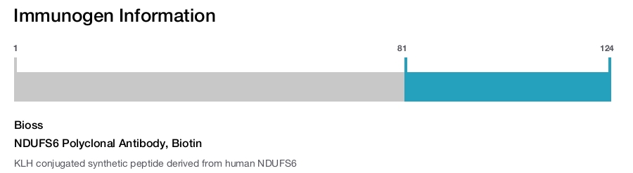 NDUFS6 Polyclonal Antibody, Biotin