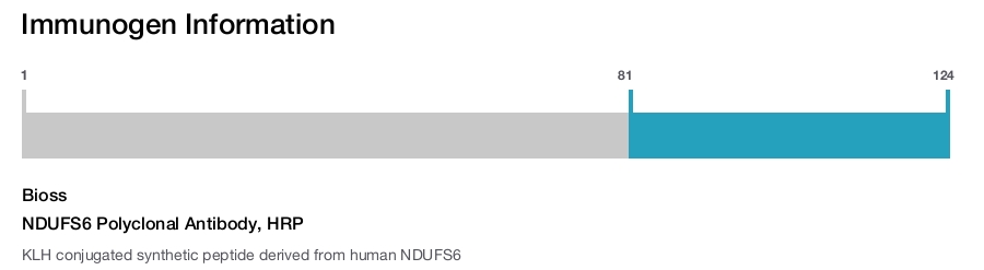 NDUFS6 Polyclonal Antibody, HRP