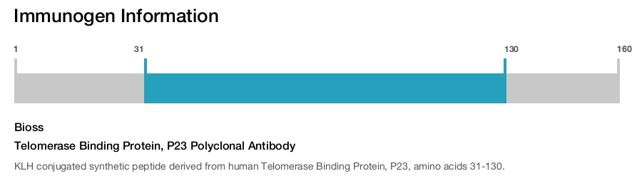 Telomerase Binding Protein, P23 Polyclonal Antibody
