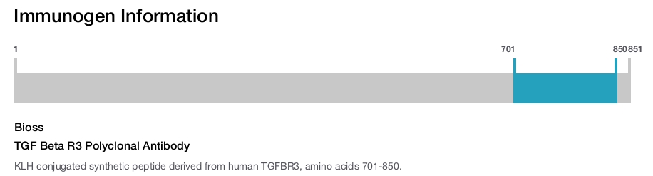 TGF Beta R3 Polyclonal Antibody