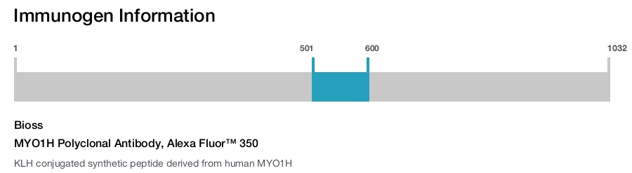 MYO1H Polyclonal Antibody, Alexa Fluor&trade; 350