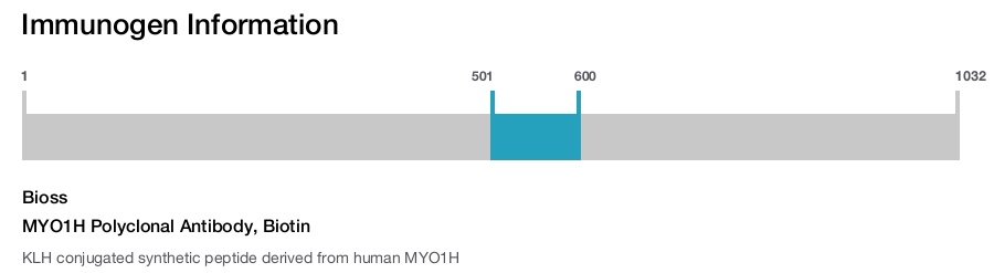 MYO1H Polyclonal Antibody, Biotin