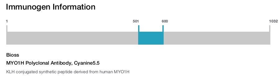MYO1H Polyclonal Antibody, Cyanine5.5
