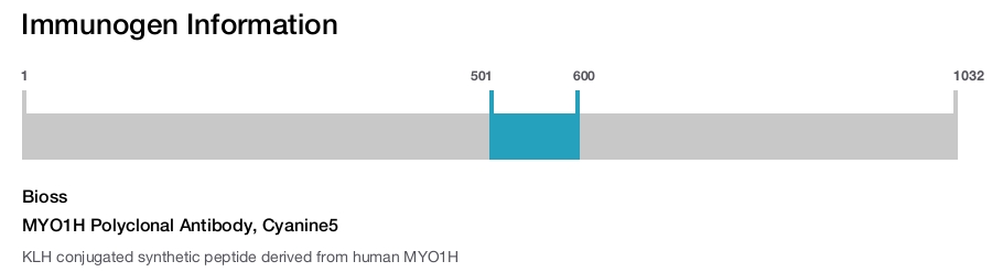 MYO1H Polyclonal Antibody, Cyanine5