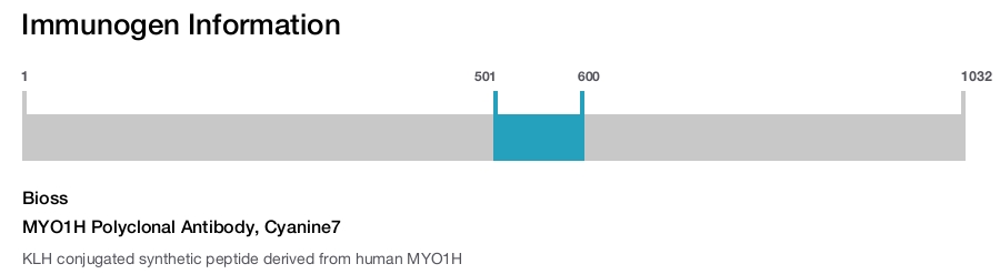 MYO1H Polyclonal Antibody, Cyanine7