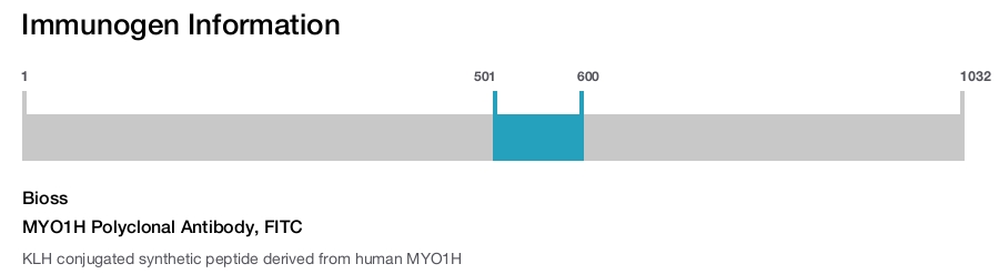 MYO1H Polyclonal Antibody, FITC
