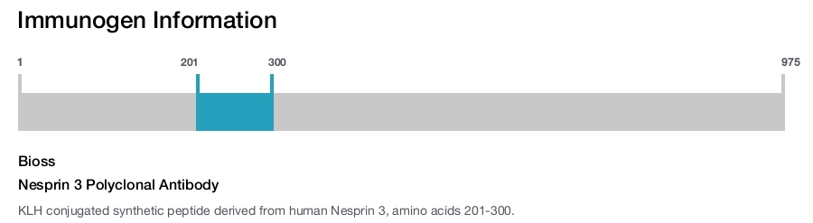 Nesprin 3 Polyclonal Antibody