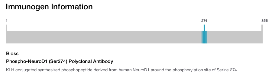Phospho-NeuroD1 (Ser274) Polyclonal Antibody