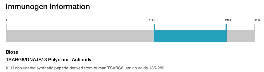 TSARG6/DNAJB13 Polyclonal Antibody