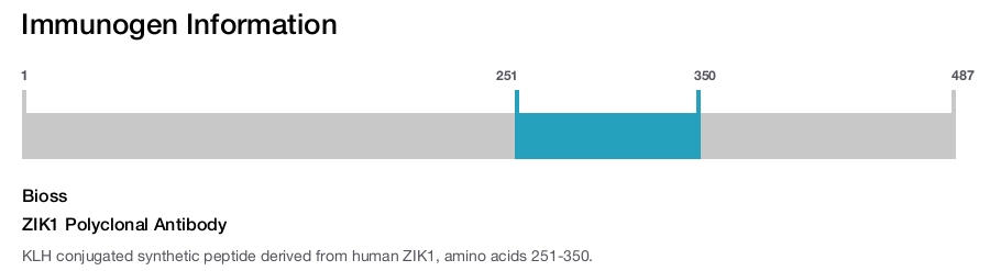 ZIK1 Polyclonal Antibody