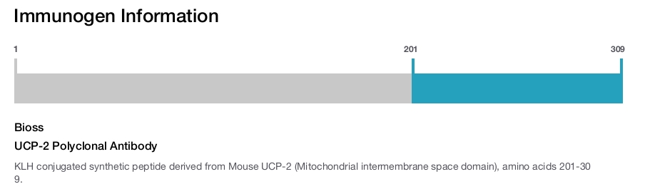 UCP-2 Polyclonal Antibody
