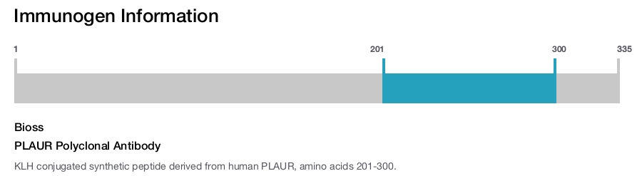 PLAUR Polyclonal Antibody