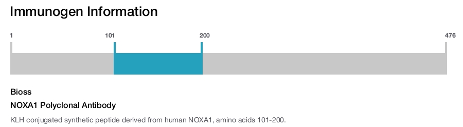 NOXA1 Polyclonal Antibody