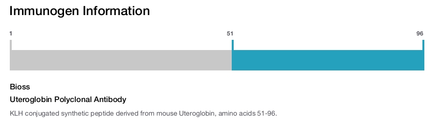 Uteroglobin Polyclonal Antibody