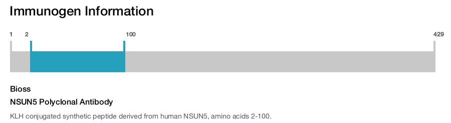 NSUN5 Polyclonal Antibody