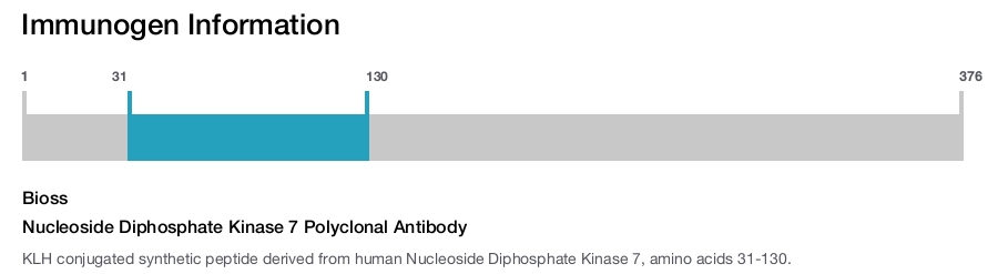 Nucleoside Diphosphate Kinase 7 Polyclonal Antibody