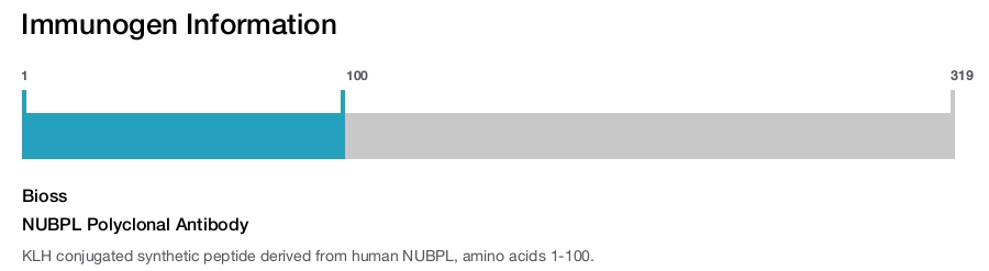 NUBPL Polyclonal Antibody