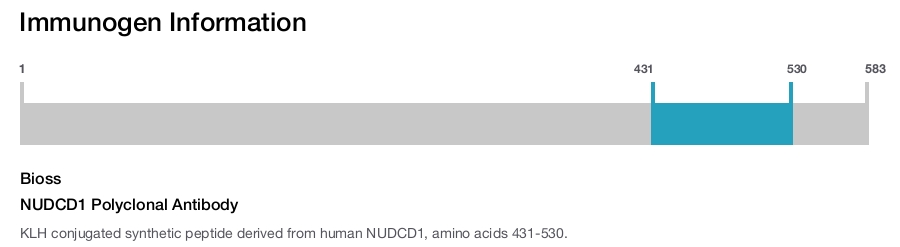 NUDCD1 Polyclonal Antibody