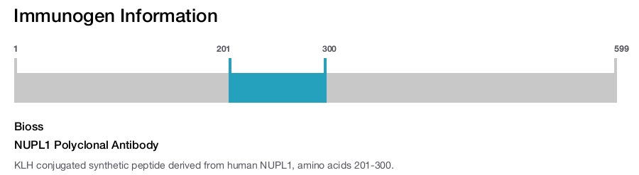 NUPL1 Polyclonal Antibody