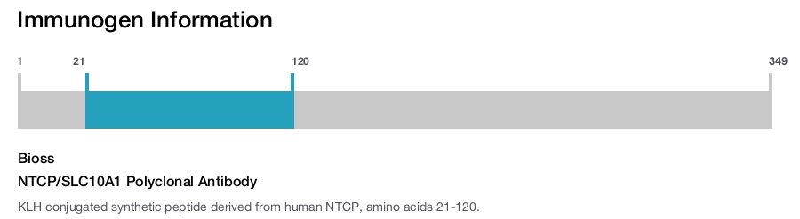 NTCP/SLC10A1 Polyclonal Antibody