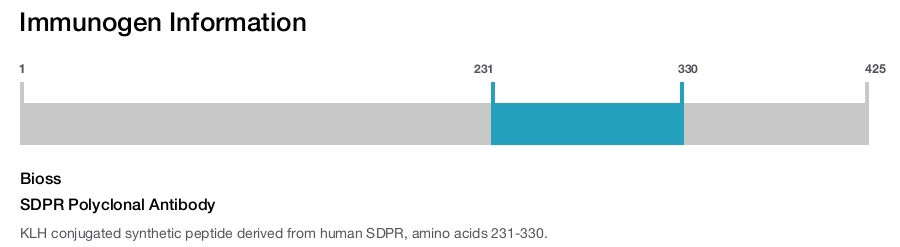 SDPR Polyclonal Antibody