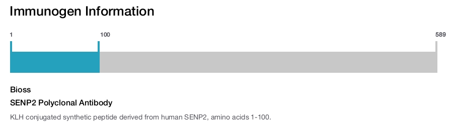 SENP2 Polyclonal Antibody