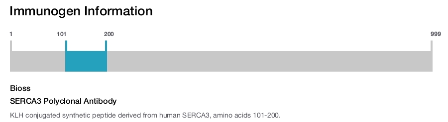 SERCA3 Polyclonal Antibody