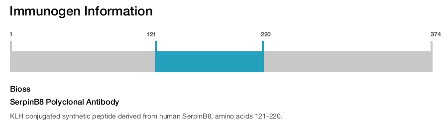SerpinB8 Polyclonal Antibody