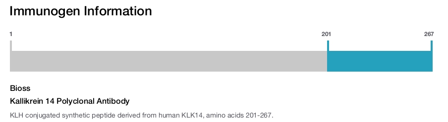 Kallikrein 14 Polyclonal Antibody