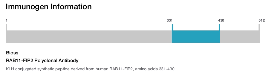 RAB11-FIP2 Polyclonal Antibody