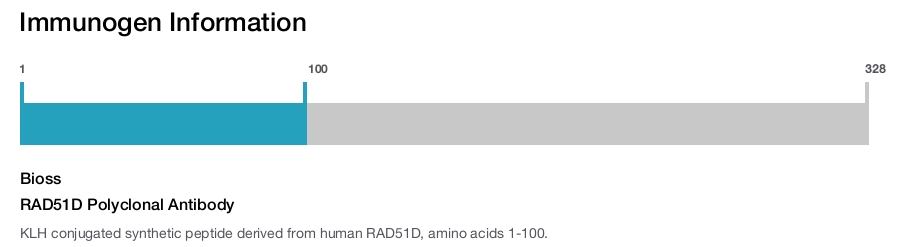 RAD51D Polyclonal Antibody