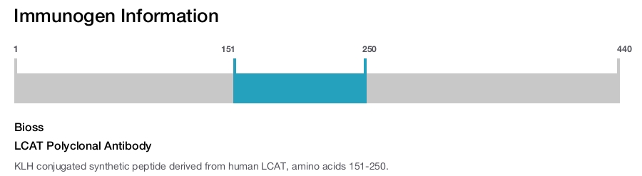 LCAT Polyclonal Antibody