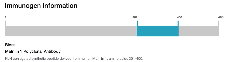 Matrilin 1 Polyclonal Antibody